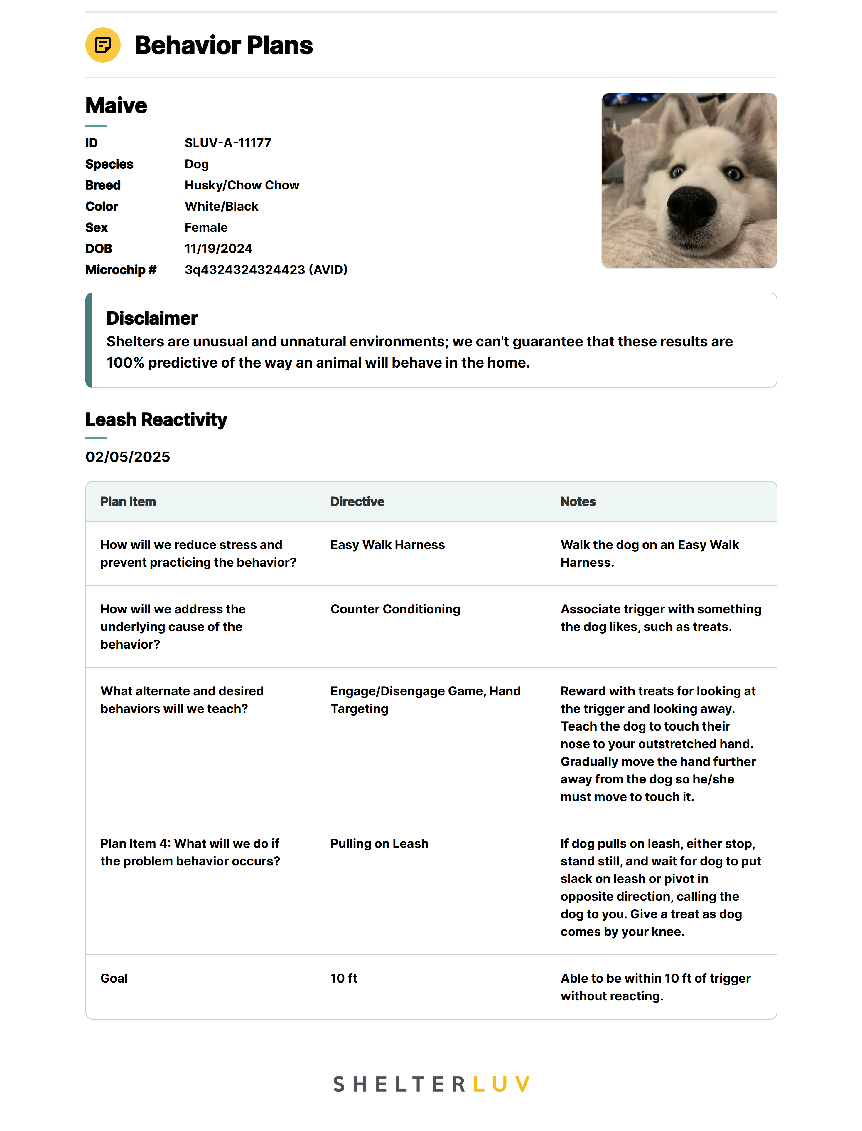 Dog - Leash Reactivity Behavior Plan.png